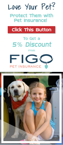 Figo Pet Insurance